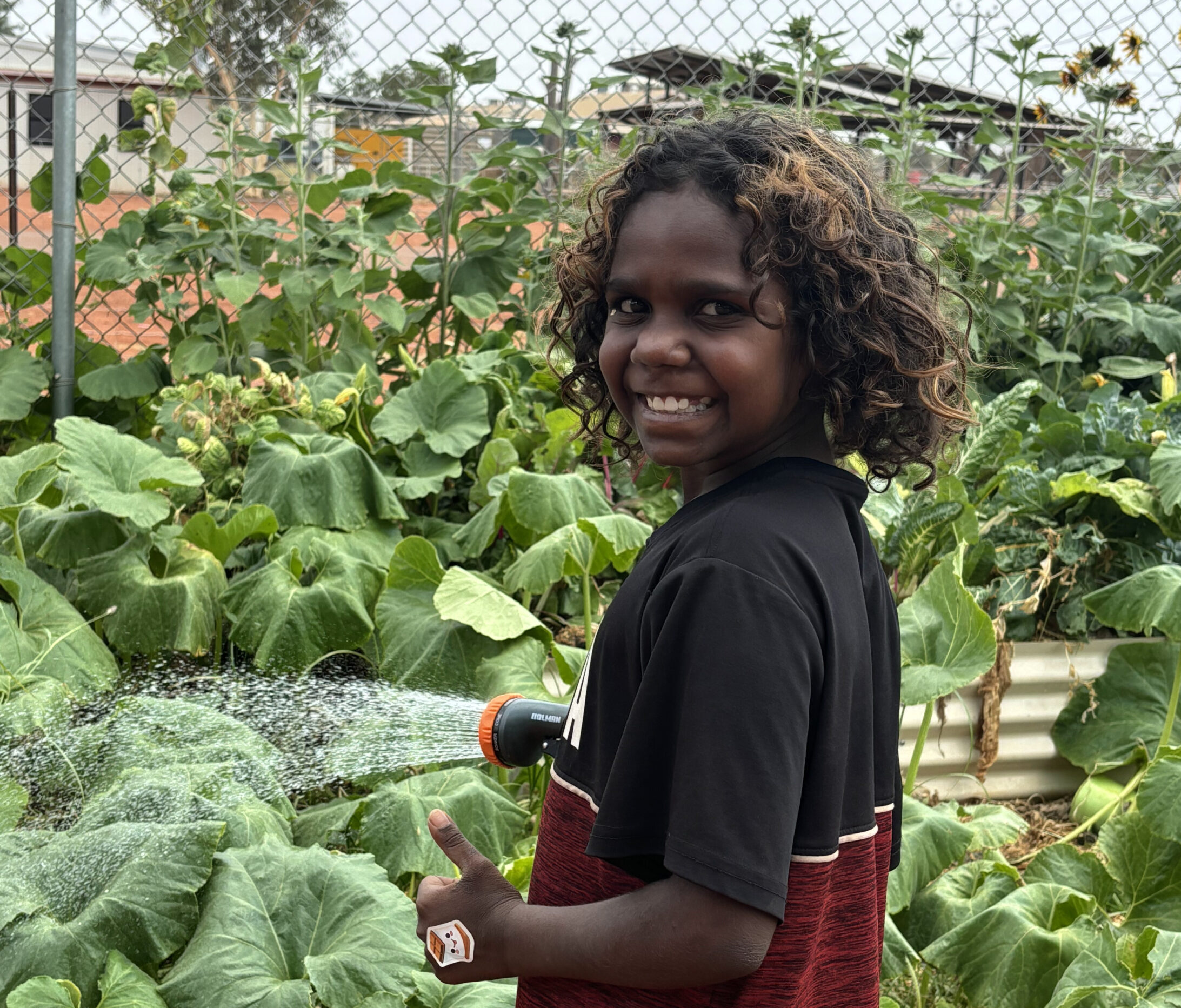 community garden